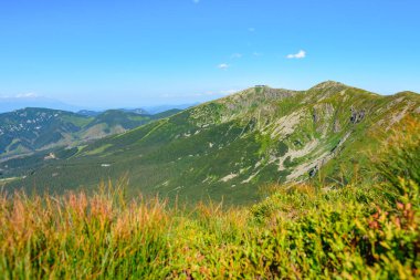 Slovakya 'nın Low Tatras şehrinde dağ manzarası. Bir dağ sırtı boyunca yürürken dağ tepeleri ve vadileri manzarası. Alp bitkileriyle kaplı yamaçlar, güneşli yaz günü
