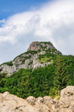 Mala Fatra Ulusal Parkı, Kis-Rozsutec, Maly Rozsutec dağ zirvesi, güneşli bir yaz günü yürüyüş sırasında tepenin altındaki açıklıktan manzara.