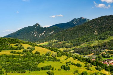 Terchova, Mala Fatra Milli Parkı 'nın dağ manzarası, yamaçlarında sık orman bulunan yüksek dağlar. Güneşli bir yaz gününde yürüyüş parkurundan manzara