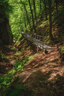 Mala Fatra Ulusal Parkı, dağ yürüyüşü yolunun zor bir bölümünde vadi boyunca uzanan metal bir köprü. Janosikove Diery, güneşli bir yaz gününde yürüyüş