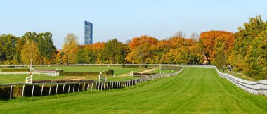 Yılan pençesi, engelli at yarışı pisti güneşli bir günde ağaçlarla dolu sonbahar manzarası. Uzaktaki modern Gökyüzü Kulesi..