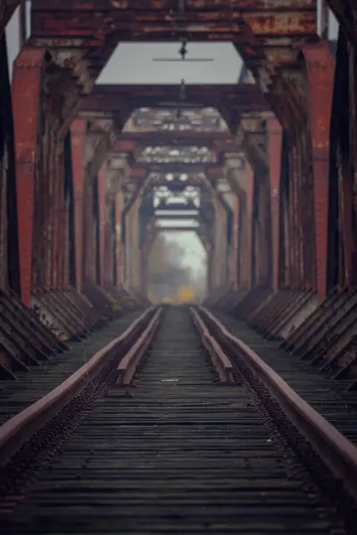 Eski Kapalı Bir Demiryolu Köprüsü Köprü Elementleri Ahşap Demiryolu Temelleri — Stok fotoğraf