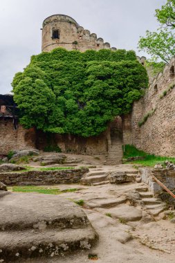 Chojnik Şatosu - Sobieszow, Karkonosze Dağları 'ndaki Chojnik dağının tepesindeki tarihi kalıntılar. Dağ yürüyüşü patikasındaki turistik eğlence, kalenin içindeki duvarları görmek.