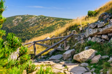 Karkonosze Dağları, Batı Sudetleri, ovalar boyunca uzanan dağ yürüyüşü patikaları, güneşli bir yaz gününde yüksek dağ bitkilerinin bulunduğu doğal dağ manzarası..