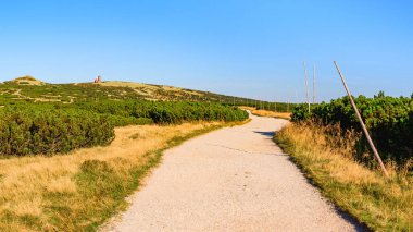 Karkonosze Dağları, Batı Sudetleri, ovalar boyunca uzanan dağ yürüyüşü patikaları, güneşli bir yaz gününde yüksek dağ bitkilerinin bulunduğu doğal dağ manzarası..