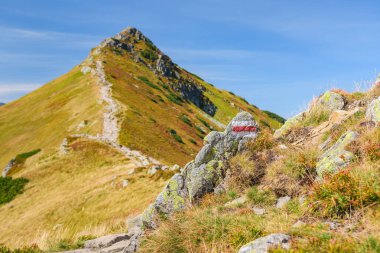 Polonya Tatra Dağları, dağ zirvelerine giden yüksek dağ yürüyüşü yolları, vadileri ve yamaçları olan dağ manzaraları, güneşli bir yaz günü manzarası. Kondracka Kopa dağ zirvesi manzarası.