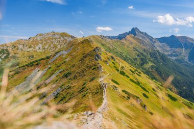 Polonya Tatra Dağları, dağ zirvelerine uzanan yüksek dağ yürüyüşleri vadileri ve yamaçları olan dağ manzarası güneşli bir yaz günü manzarası..