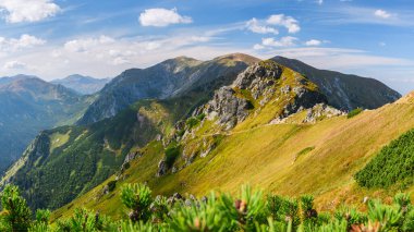 Polonya Tatra Dağları, dağ zirvelerine uzanan yüksek dağ yürüyüşleri vadileri ve yamaçları olan dağ manzarası güneşli bir yaz günü manzarası..
