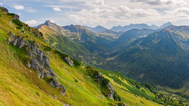 Polonya Tatra Dağları, dağ zirvelerine uzanan yüksek dağ yürüyüşleri vadileri ve yamaçları olan dağ manzarası güneşli bir yaz günü manzarası..