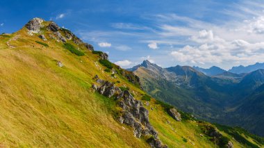 Polonya Tatra Dağları, dağ zirvelerine uzanan yüksek dağ yürüyüşleri vadileri ve yamaçları olan dağ manzarası güneşli bir yaz günü manzarası..