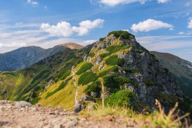 Polonya Tatra Dağları, dağ zirvelerine uzanan yüksek dağ yürüyüşleri vadileri ve yamaçları olan dağ manzarası güneşli bir yaz günü manzarası..