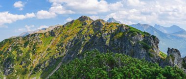 Polonya Tatra Dağları, dağ zirvelerine uzanan yüksek dağ yürüyüşleri vadileri ve yamaçları olan dağ manzarası güneşli bir yaz gününde patikadan manzara..