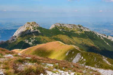 Polonya Tatra Dağları, dağ zirvelerine uzanan yüksek dağ yürüyüşü yolları, vadileri ve yamaçları olan dağ manzaraları, güneşli bir yaz günü manzarası..