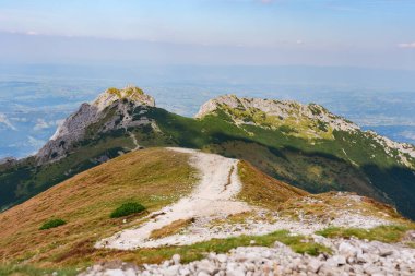 Polonya Tatra Dağları, dağ zirvelerine uzanan yüksek dağ yürüyüşleri vadileri ve yamaçları olan dağ manzarası güneşli bir yaz günü manzarası..