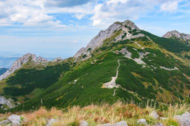 Polonya Tatra Dağları, dağ zirvelerine uzanan yüksek dağ yürüyüşü yolları, vadileri ve yamaçları olan dağ manzaraları, güneşli bir yaz günü manzarası..