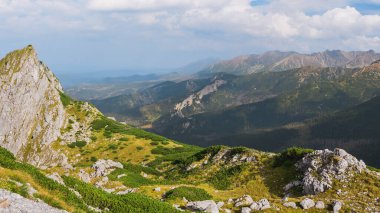 Polonya Tatra Dağları, dağ zirvelerine uzanan yüksek dağ yürüyüşleri vadileri ve yamaçları olan dağ manzarası güneşli bir yaz günü manzarası..