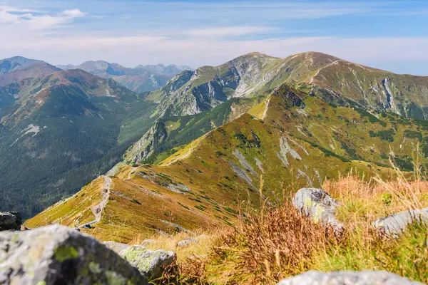 Polonya Tatra Dağları, dağ zirvelerine uzanan yüksek dağ yürüyüşleri vadileri ve yamaçları olan dağ manzarası güneşli bir yaz günü manzarası..