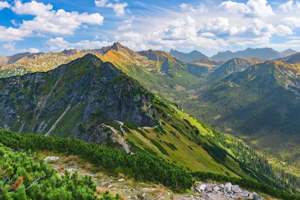 Polonya Tatra Dağları, dağ zirvelerine uzanan yüksek dağ yürüyüşleri vadileri ve yamaçları olan dağ manzarası güneşli bir yaz günü manzarası..
