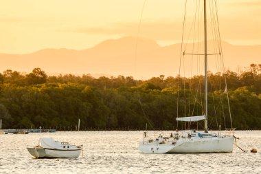 Mangrov ormanlarına ve dağlara bakan kıyıya yakın nehirde demirlemiş yelkenliler, turuncu gün batımında nehirden manzaralı..