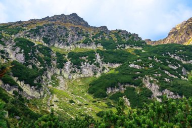 Polonya Tatra Dağları, dağ zirvelerine uzanan yüksek dağ yürüyüşleri vadileri ve yamaçları olan dağ manzarası güneşli bir yaz günü manzarası..