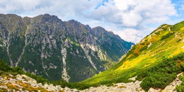 Polonya Tatra Dağları, dağ zirvelerine uzanan yüksek dağ yürüyüşleri vadileri ve yamaçları olan dağ manzarası güneşli bir yaz günü manzarası..
