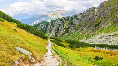 Polonya Tatra Dağları, dağ zirvelerine uzanan yüksek dağ yürüyüşleri vadileri ve yamaçları olan dağ manzarası güneşli bir yaz günü manzarası..