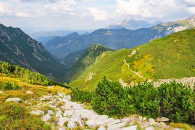 Polonya Tatra Dağları, dağ zirvelerine uzanan yüksek dağ yürüyüşleri vadileri ve yamaçları olan dağ manzarası güneşli bir yaz günü manzarası..
