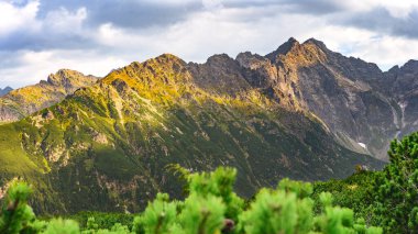 Polonya Tatra Dağları, dağ zirvelerine uzanan yüksek dağ yürüyüşleri vadileri ve yamaçları olan dağ manzarası güneşli bir yaz günü manzarası..
