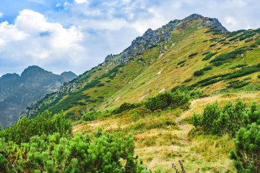 Polonya Tatra Dağları, dağ zirvelerine uzanan yüksek dağ yürüyüşleri vadileri ve yamaçları olan dağ manzarası güneşli bir yaz günü manzarası..