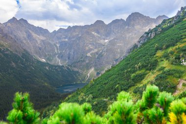 Polonya Tatra Dağları, dağ zirvelerine uzanan yüksek dağ yürüyüşleri vadileri ve yamaçları olan dağ manzarası güneşli bir yaz günü manzarası..