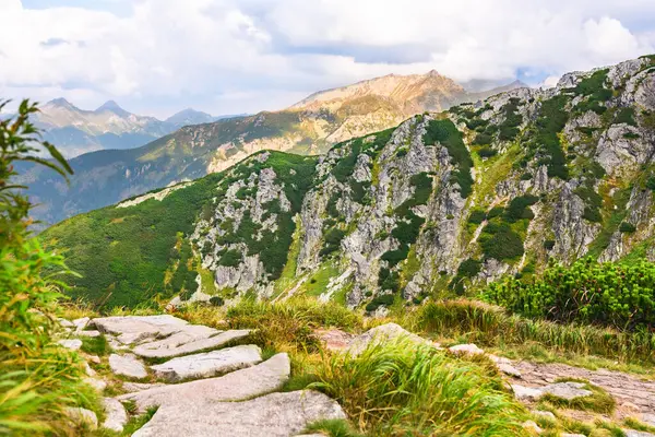 Polonya Tatra Dağları, dağ zirvelerine uzanan yüksek dağ yürüyüşleri vadileri ve yamaçları olan dağ manzarası güneşli bir yaz günü manzarası..