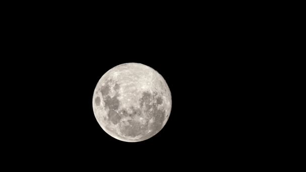 Une Pleine Lune Dans Ciel Satellite Naturel Visible Sol Disque — Video