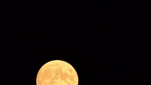 Jagers Volle Maan Oranje Maanopkomst Met Zichtbare Kraters Het Oppervlak — Stockvideo
