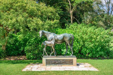Sydney, Avustralya - 04 Mart 2023: Royal Botanic Garden Sydney, Mare ve Tay parktaki bronz heykel.