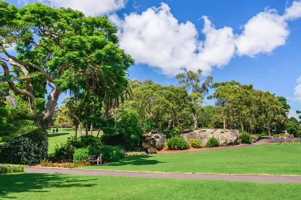 Sydney Australien März 2023 Königlicher Botanischer Garten Sydney Grüner Stadtraum Stockfoto