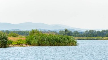 Dağların manzarası ve uzun kamışlı gölün kıyısı güneşli bir yaz gününde manzara..