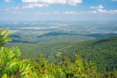 Karkonosze Dağları, Batı Sudetleri, güneşli yaz günlerinde ormanın kenarında dağ manzarası. Uzaktan Jelenia Gora şehrini görebilirsiniz..