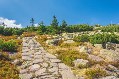 Karkonosze Dağları, Batı Sudetleri, yürüyüş patikasındaki dağ manzarası, güneşli yaz günlerinde yemyeşil dağlarla kaplı kayalık patika..