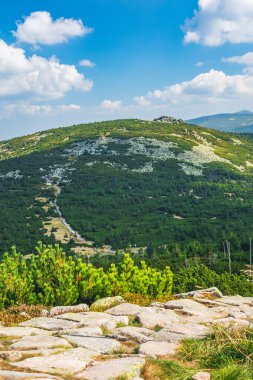 Karkonosze Dağları, Batı Sudetleri, Çek Kamienie dağ zirvesi manzaralı yürüyüş parkurları. Sınır çizgisi olan kayalık yol, yemyeşil alp bitkisi..
