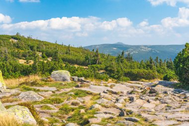 Karkonosze Dağları, Batı Sudetleri, Slaskie Kamienie zirvesinden manzaralı dağ manzarası. Rocky yolu, yeşil alp bitkisi Yazın güneşli bir günde.