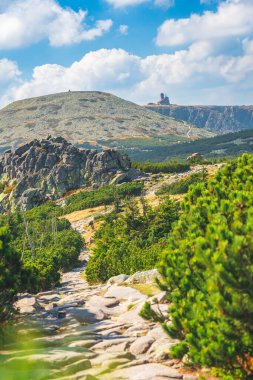 Karkonosze Dağları, Batı Sudetleri, Slaskie Kamienie zirvesi ve Wielki Szyszak manzaralı dağ manzarası. Rocky yolu, yeşil alp bitkisi Yazın güneşli bir günde.