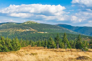Karkonosze Dağları, Batı Sudetleri, yürüyüş parkurundaki dağ manzarası, patikadan Maly Szyszak zirvesine ve yamaçlardaki ormanlarla çevrili dağ sığınakları..