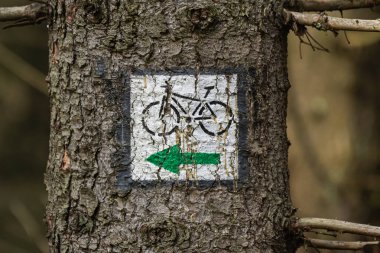 Yeşil bisiklet yolu, bir ağaç gövdesine yerleştirilmiş izler, Masa Dağları 'nda turistik bisiklet yolu..