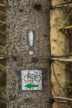 Yeşil bisiklet yolu, bir ağaç gövdesine yerleştirilmiş izler, Masa Dağları 'nda turistik bisiklet yolu..