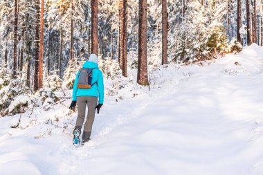 Doğu Sudetes, dağda karla kaplı bir patikada yürüyüş yapan genç bir kadın, ormanda beyaz kar üzerinde yürür ve karla kaplı ağaçlara, dağlardaki kış manzarasına bakar..