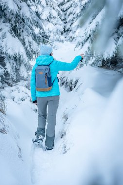 Doğu Sudetes, dağda karla kaplı bir patikada yürüyüş yapan genç bir kadın, ormanda beyaz kar üzerinde yürür ve karla kaplı ağaçlara, dağlardaki kış manzarasına bakar..
