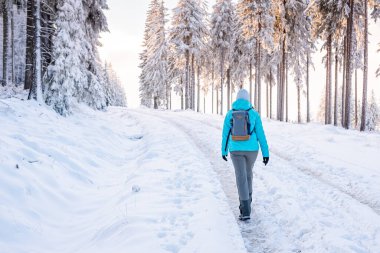 Doğu Sudetes, dağda karla kaplı bir patikada yürüyüş yapan genç bir kadın, ormanda beyaz kar üzerinde yürür ve karla kaplı ağaçlara, dağlardaki kış manzarasına bakar..