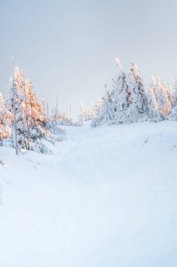 Hruby Jesenik, Snow-covered mountain hiking trail leads to the mountain top through a snow-covered forest, winter landscape in the mountains on a sunny day. clipart