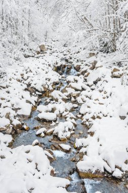 Kışın dağ nehri, karla kaplı kayaların üzerinden nehir yatağından aşağı akar. Kış manzarası bir dağ yürüyüşü patikasında.
