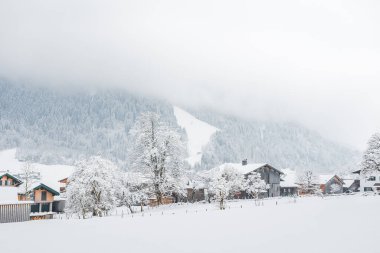 Avusturya, Schoppernau 14 Şubat 2025 - Alpler, dağ vadisindeki küçük bir kasaba, karla kaplı evler, karlı bir gün.